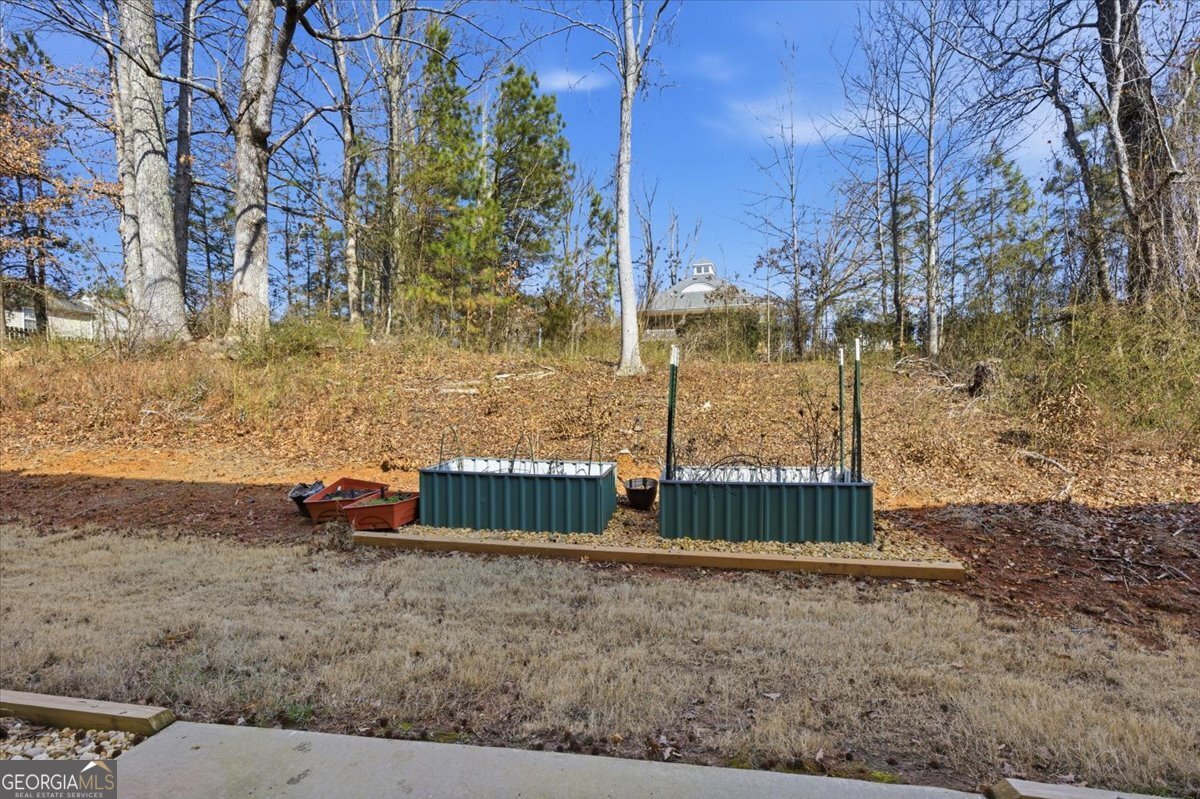 91 Brycewood Trail Dallas GA 30157