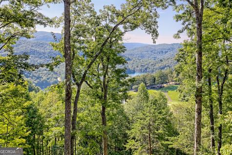 215 Grey Fox Trail Clayton GA 30525