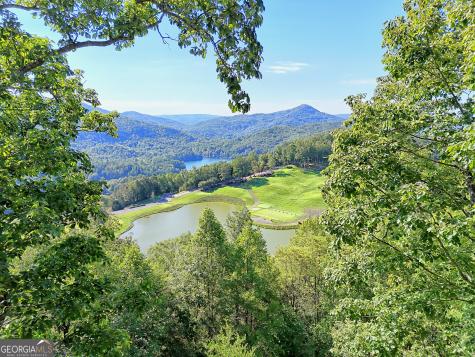 215 Grey Fox Trail Clayton GA 30525