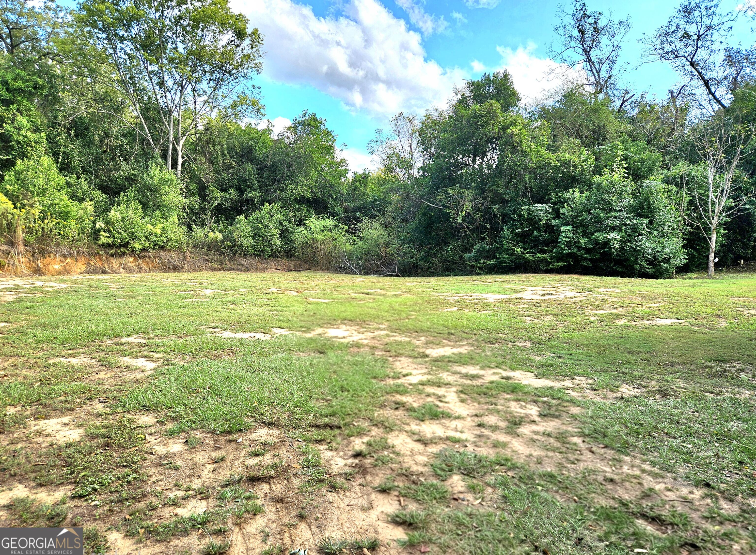 1052 E Highway 26 Buena Vista GA 31803