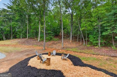 208 Mcclure Way Blue Ridge GA 30513