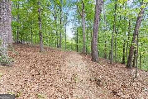 510 High Shoals Drive Dahlonega GA 30533