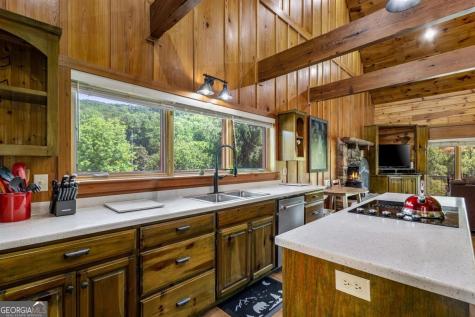 166 Richard Road Blairsville GA 30512