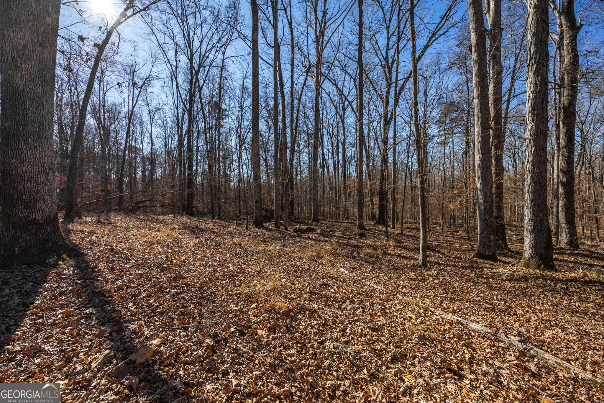 179 Stone Edge Drive Gray GA 31032
