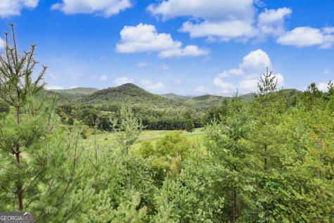 394 Bent Grass Way Clayton GA 30525