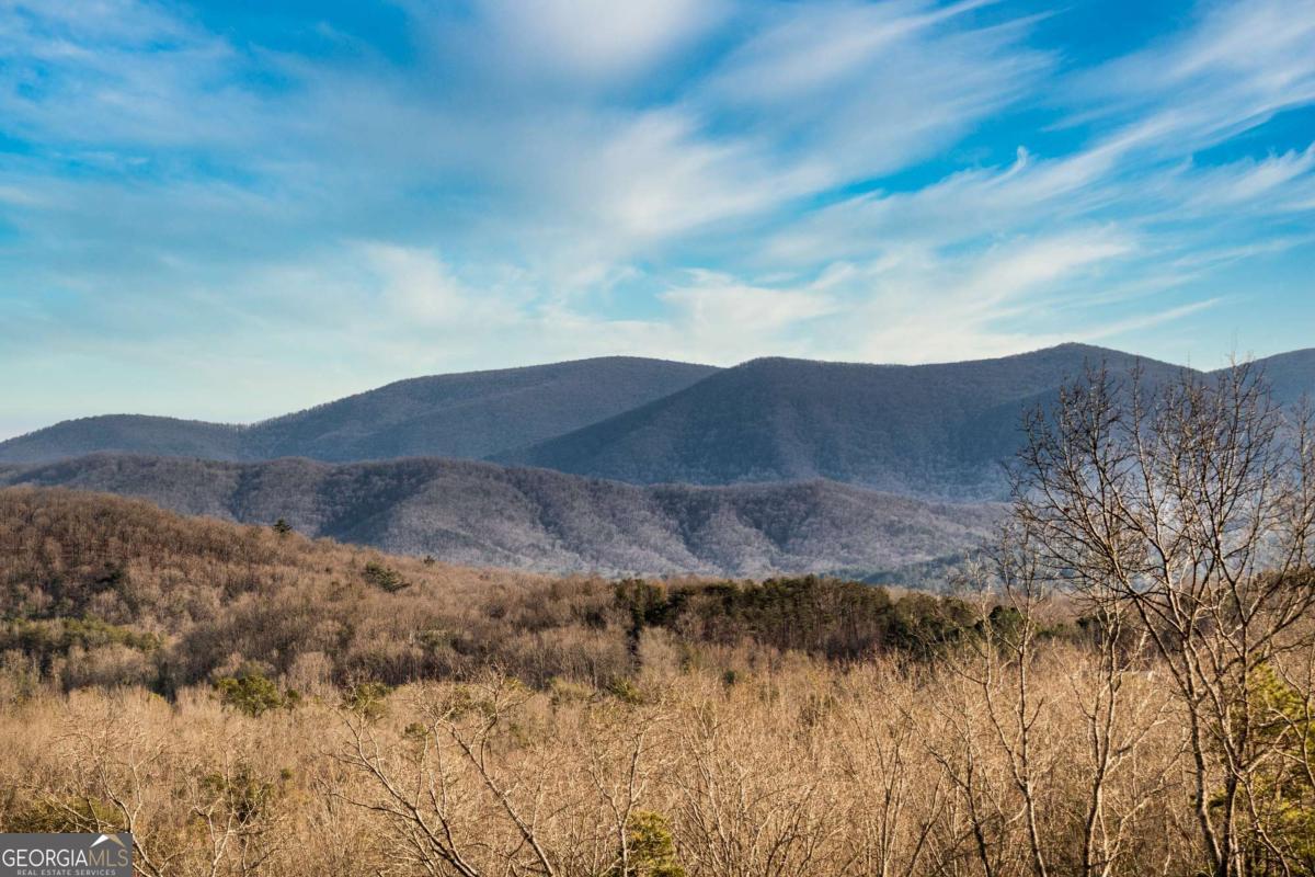 49 Chestnut Overlook Blue Ridge GA 30513