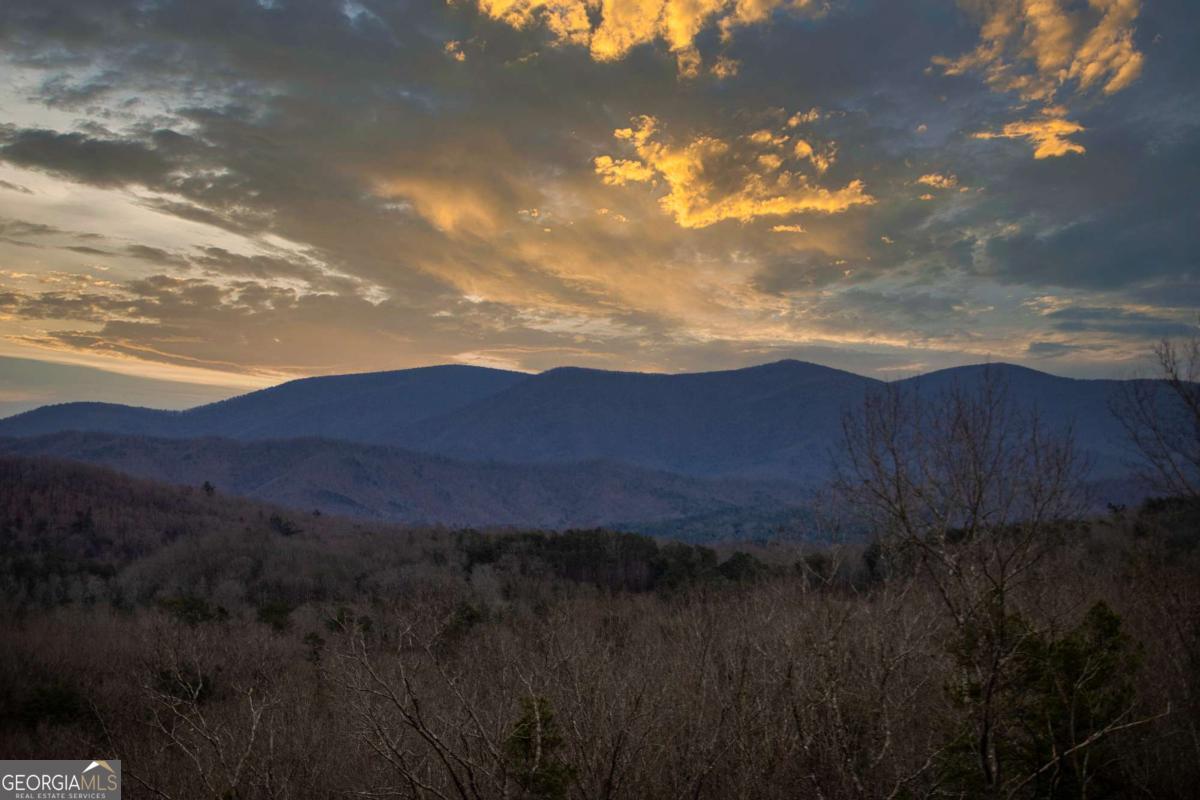 49 Chestnut Overlook Blue Ridge GA 30513
