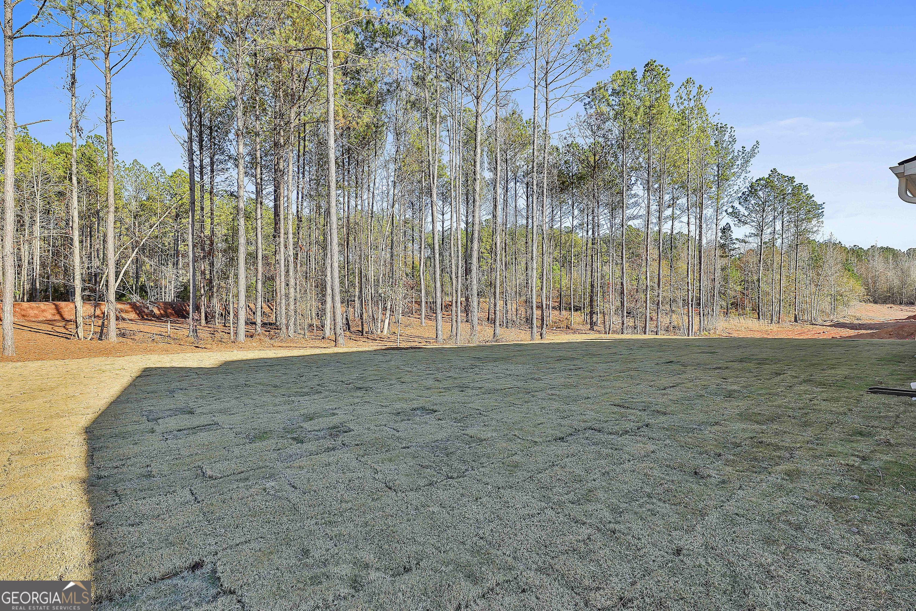 188 Tattersall Way Senoia GA 30276