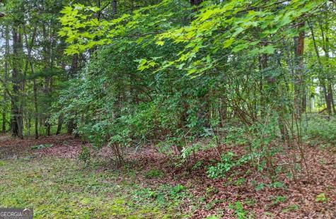 271 Broken Arrow Trail Dahlonega GA 30533