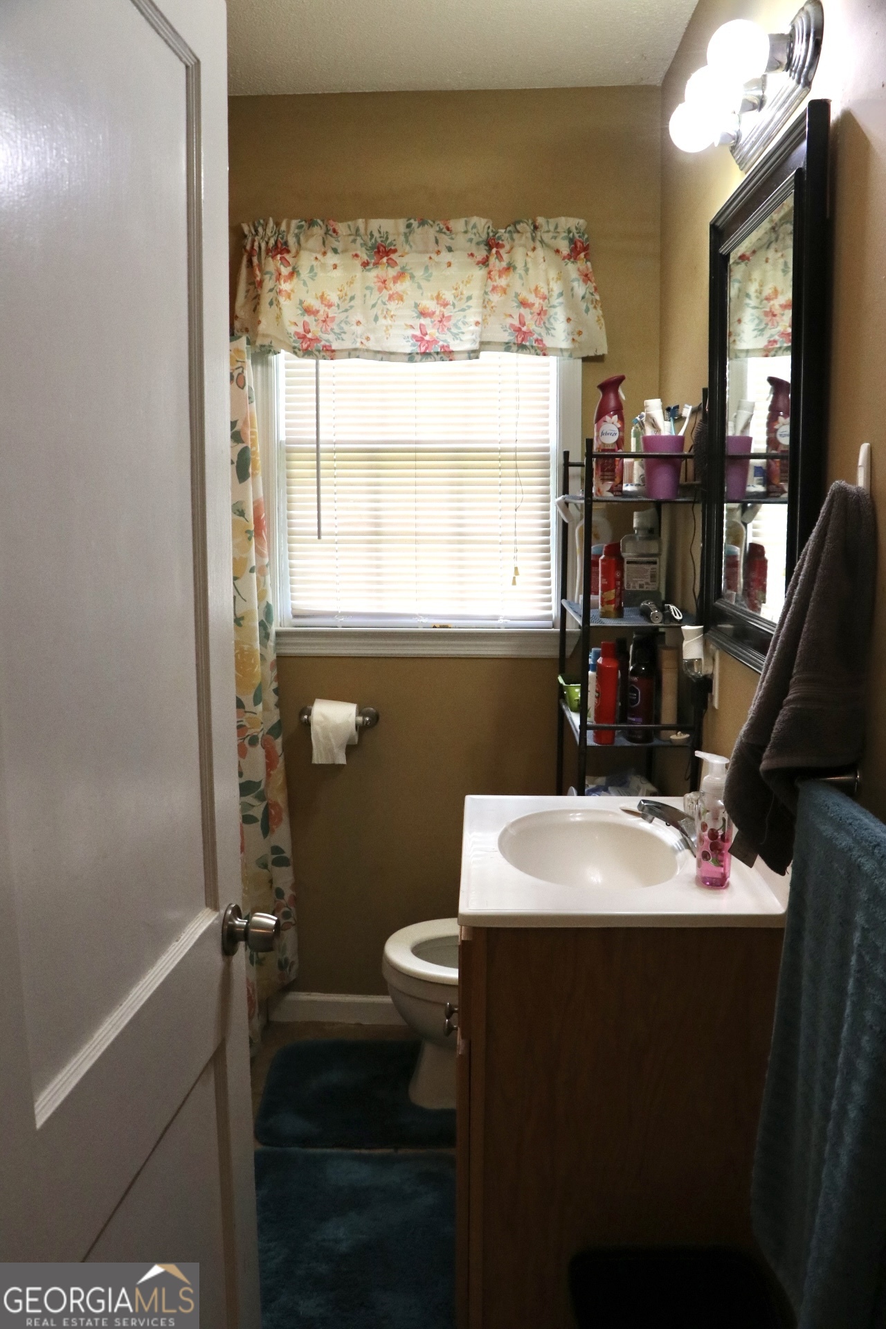 95 Cherry Street Trion GA 30753