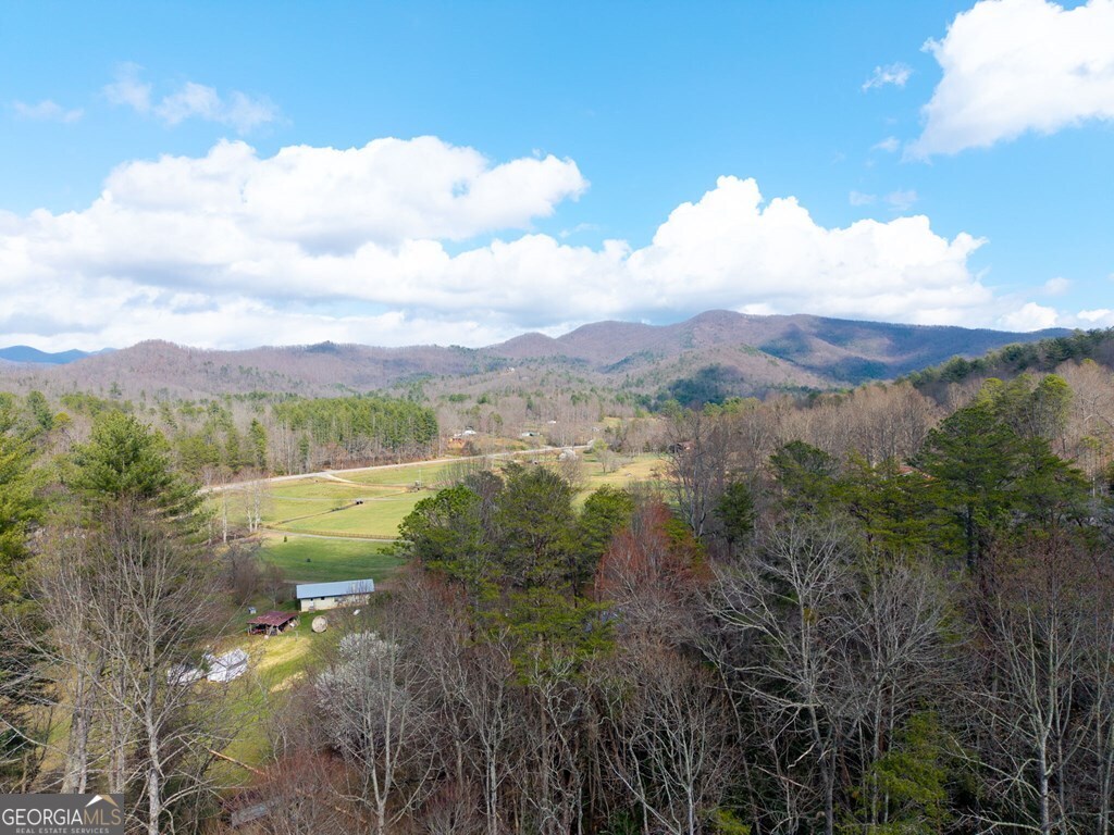 1852 Deer Run Circle Hiawassee GA 30546