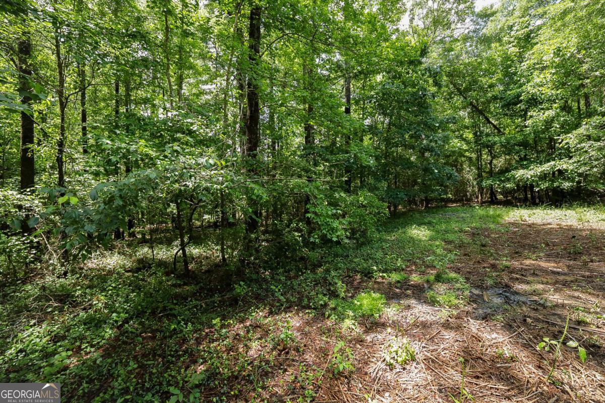 500 Kingston Road Colbert GA 30628