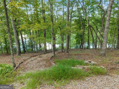 501 High Meadow Lakes Road Clarkesville GA 30523