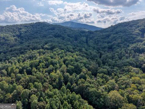 8296 True Love Mountain Road Young Harris GA 30582