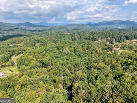8296 True Love Mountain Road Young Harris GA 30582