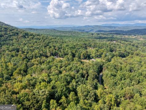 8296 True Love Mountain Road Young Harris GA 30582
