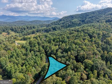 8296 True Love Mountain Road Young Harris GA 30582