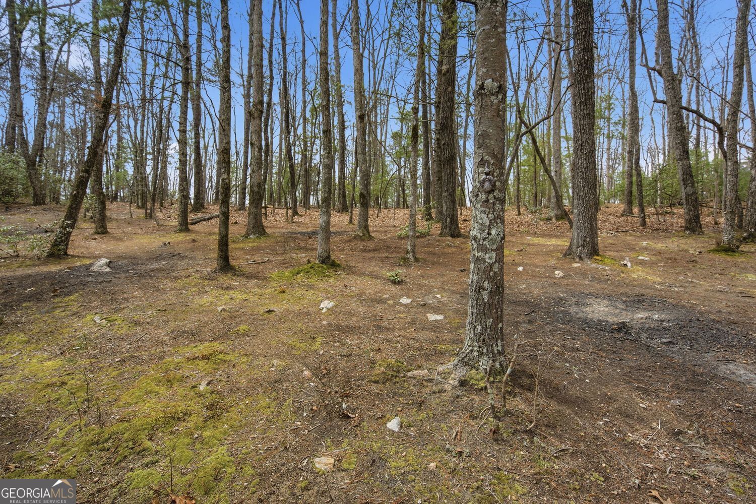 1399 Old Parker Place Road Ellijay GA 30536