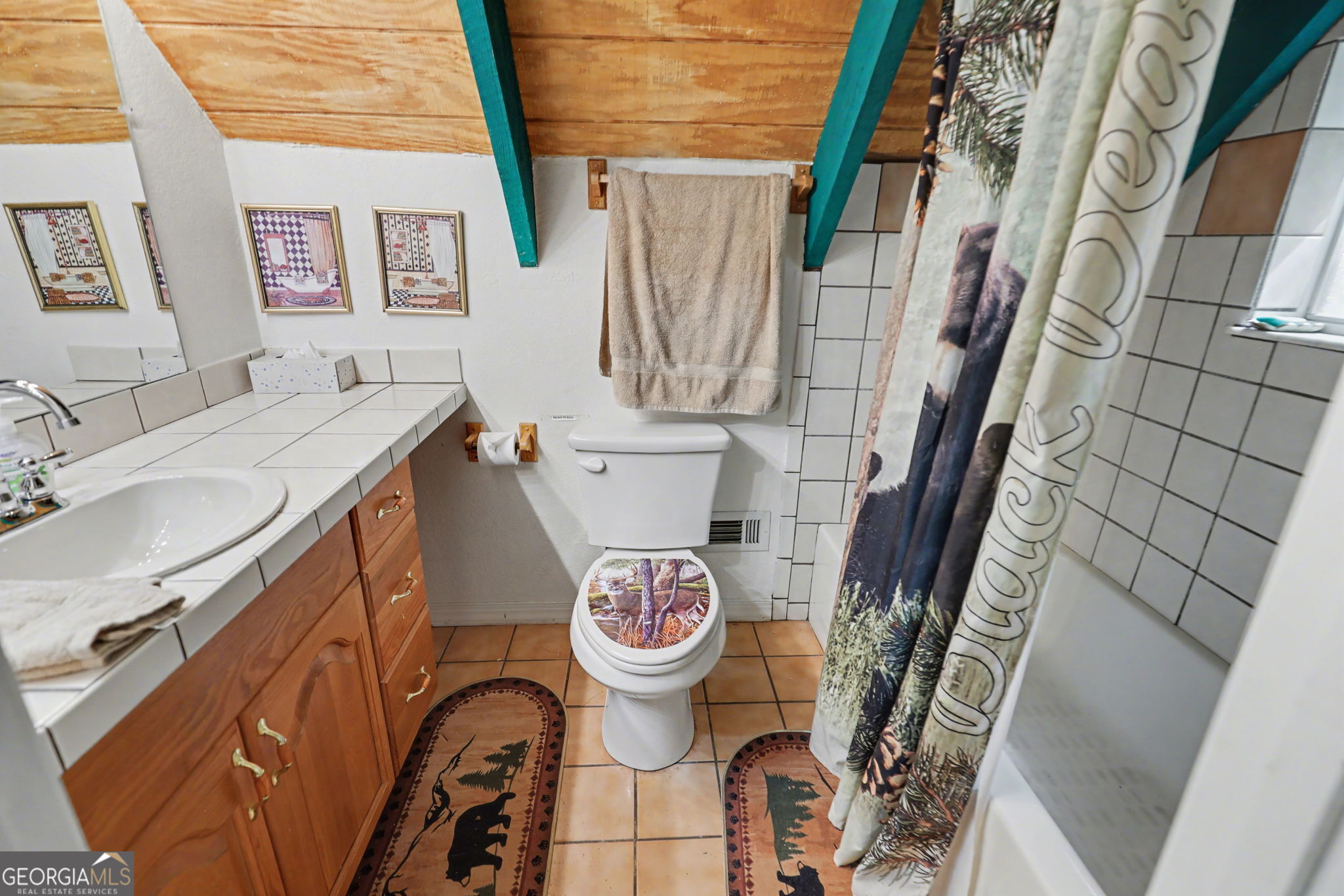 747 Screamer Drive Clayton GA 30525