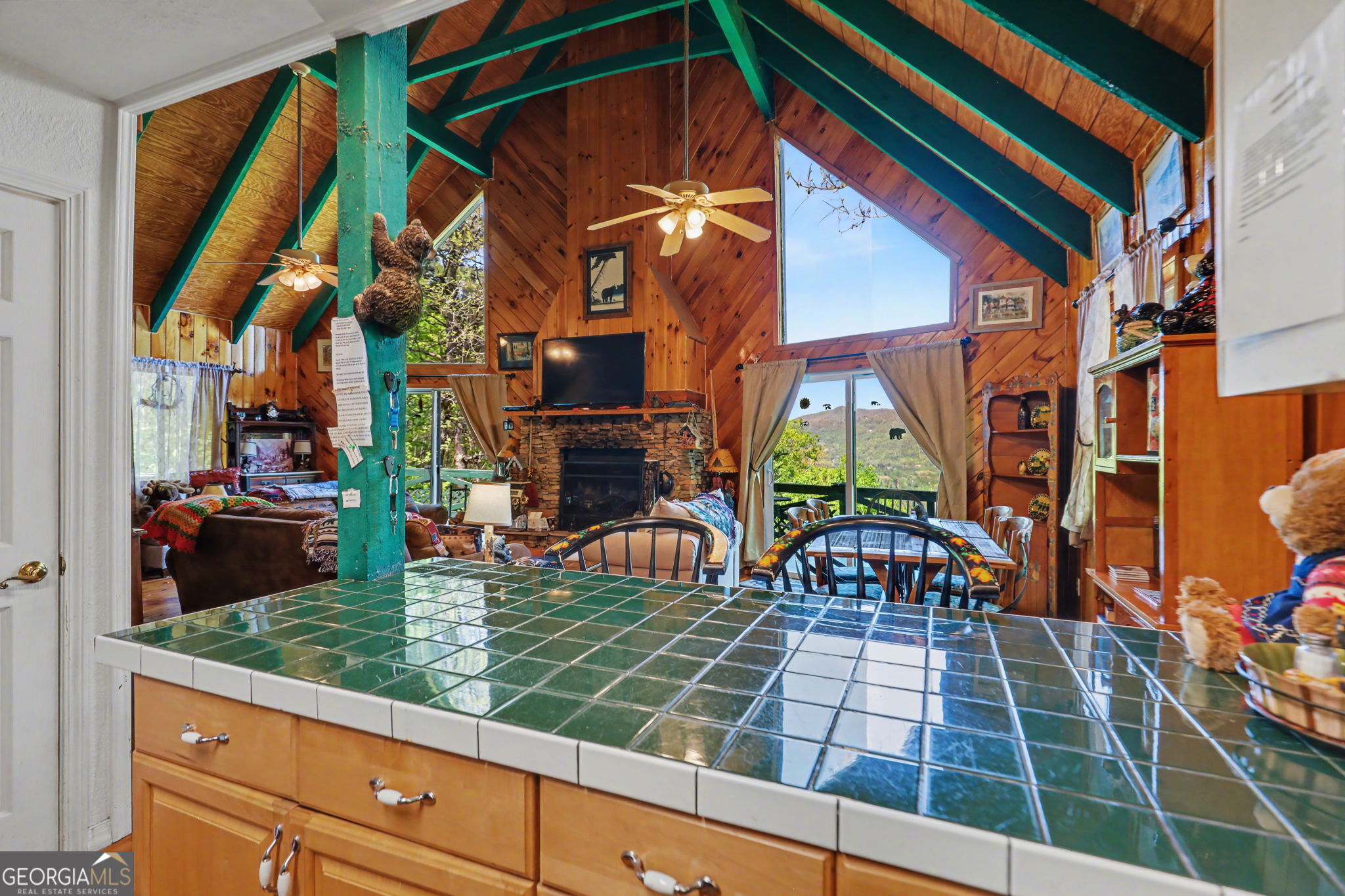 747 Screamer Drive Clayton GA 30525