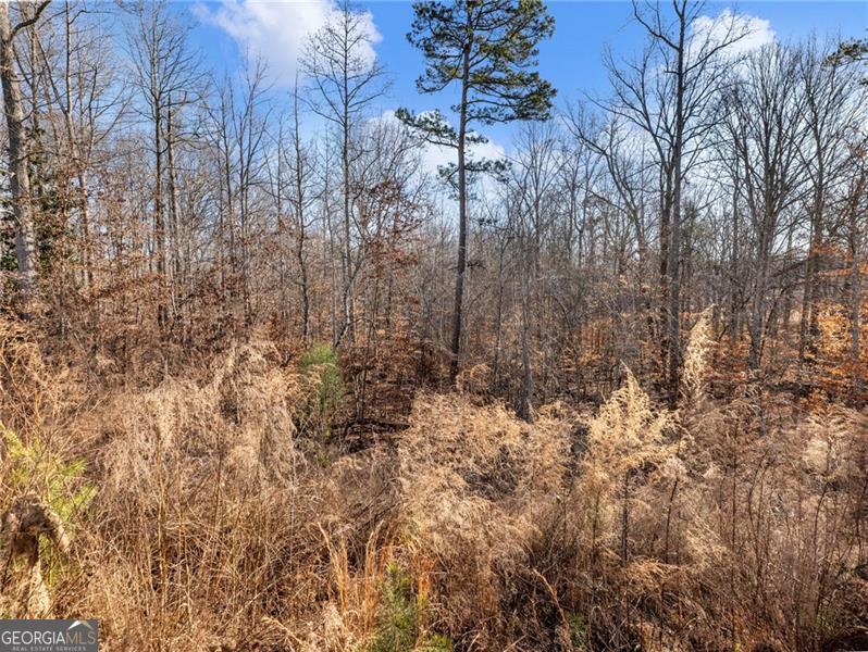 147 Cedar Lane Dawsonville GA 30534