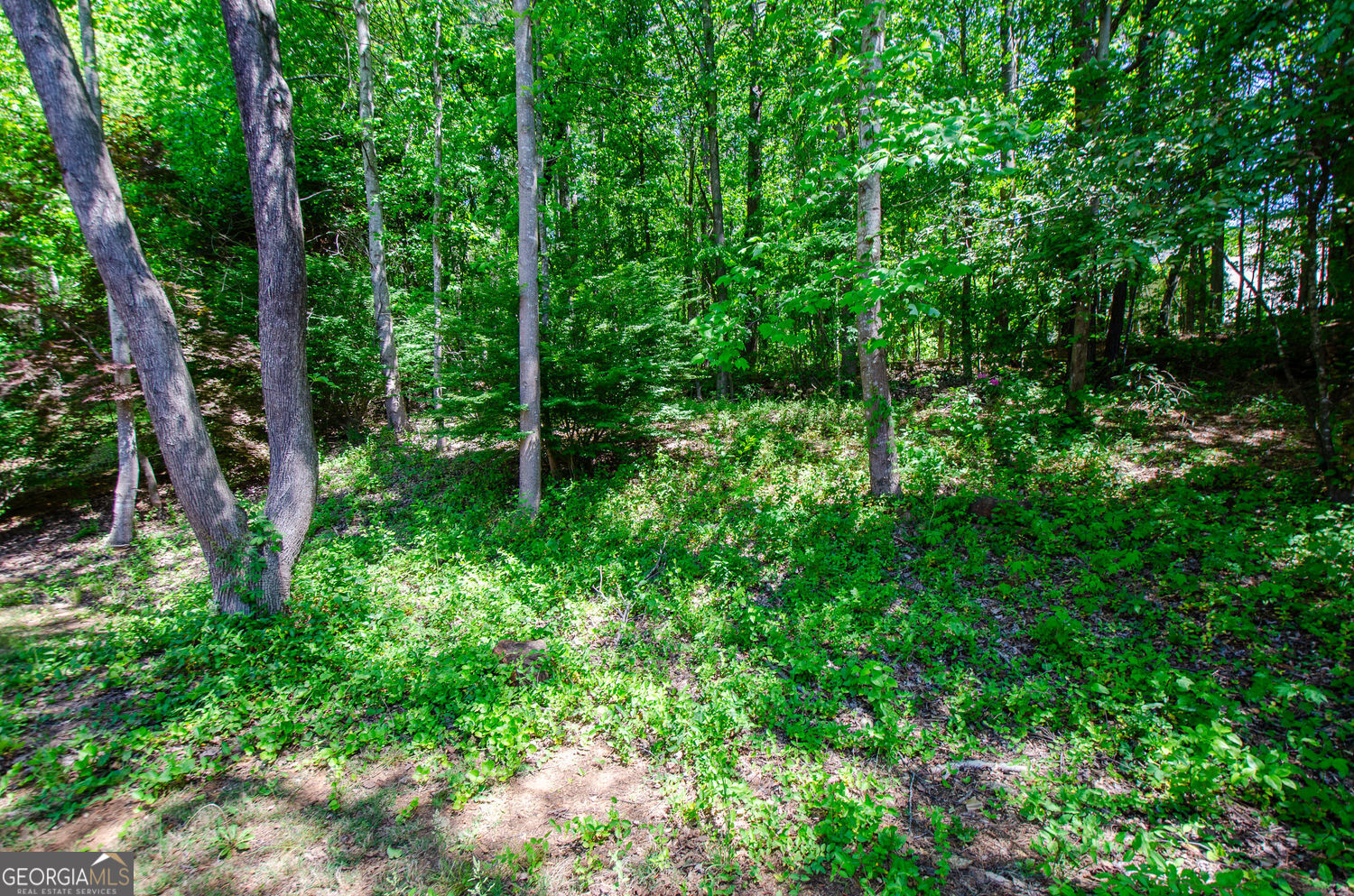 185 Weatherstone Drive Woodstock GA 30188