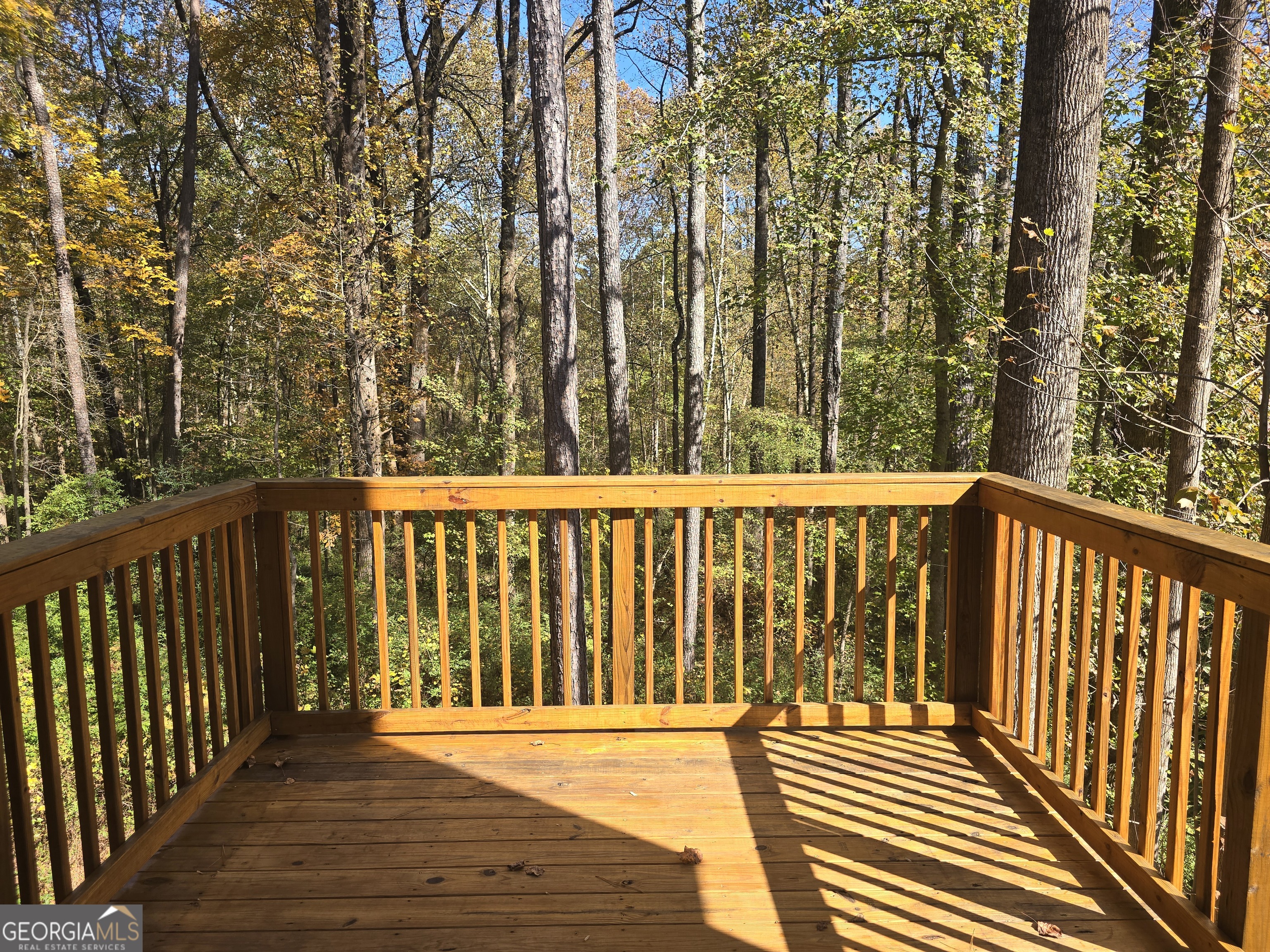 150 Mountain View Drive Monroe GA 30655