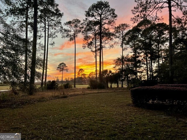 904 Larkspur Lane St. Marys GA 31558