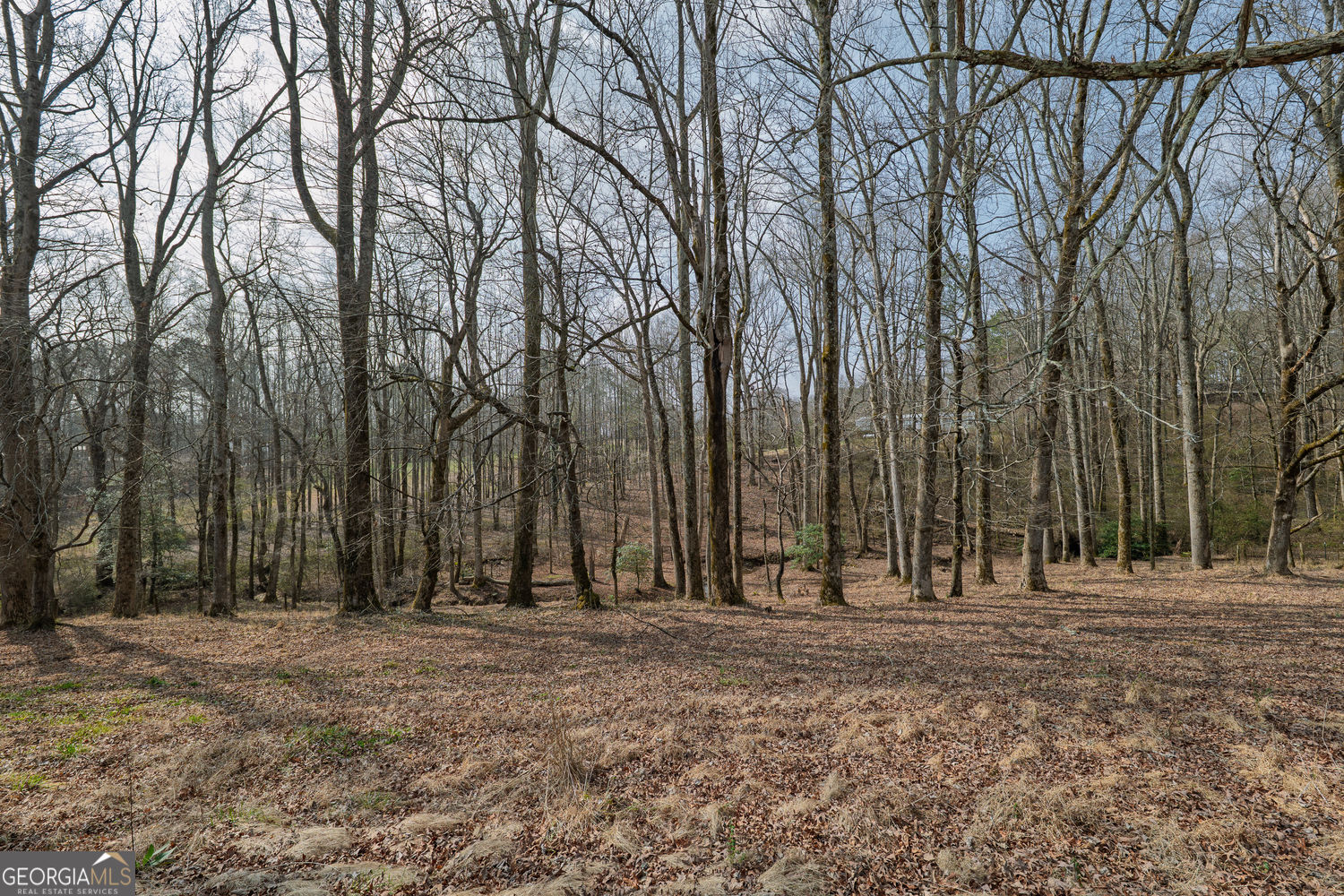 250 Frank Bruce Road Dawsonville GA 30534