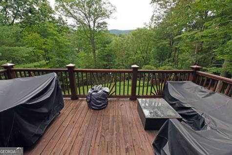 1335 Willard Mountain Road Blue Ridge GA 30513