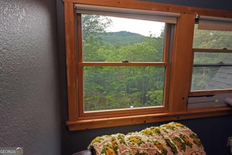 1335 Willard Mountain Road Blue Ridge GA 30513