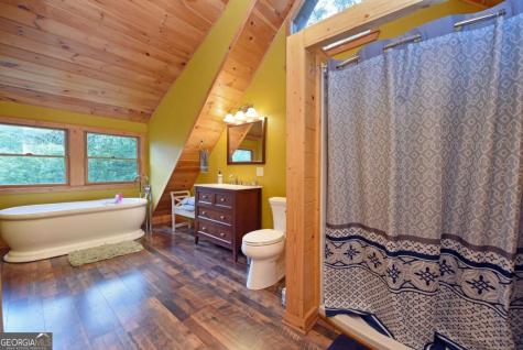 1335 Willard Mountain Road Blue Ridge GA 30513