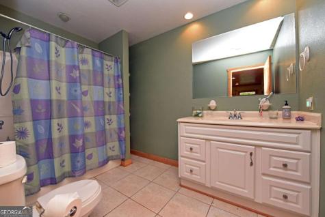 1335 Willard Mountain Road Blue Ridge GA 30513