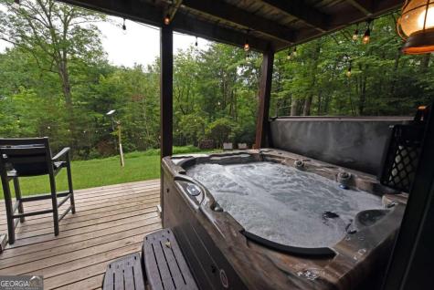 1335 Willard Mountain Road Blue Ridge GA 30513
