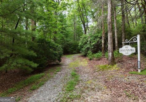 1335 Willard Mountain Road Blue Ridge GA 30513