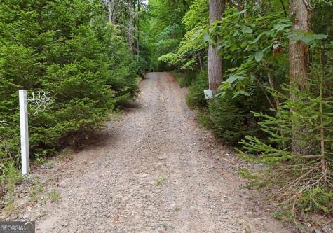 1335 Willard Mountain Road Blue Ridge GA 30513