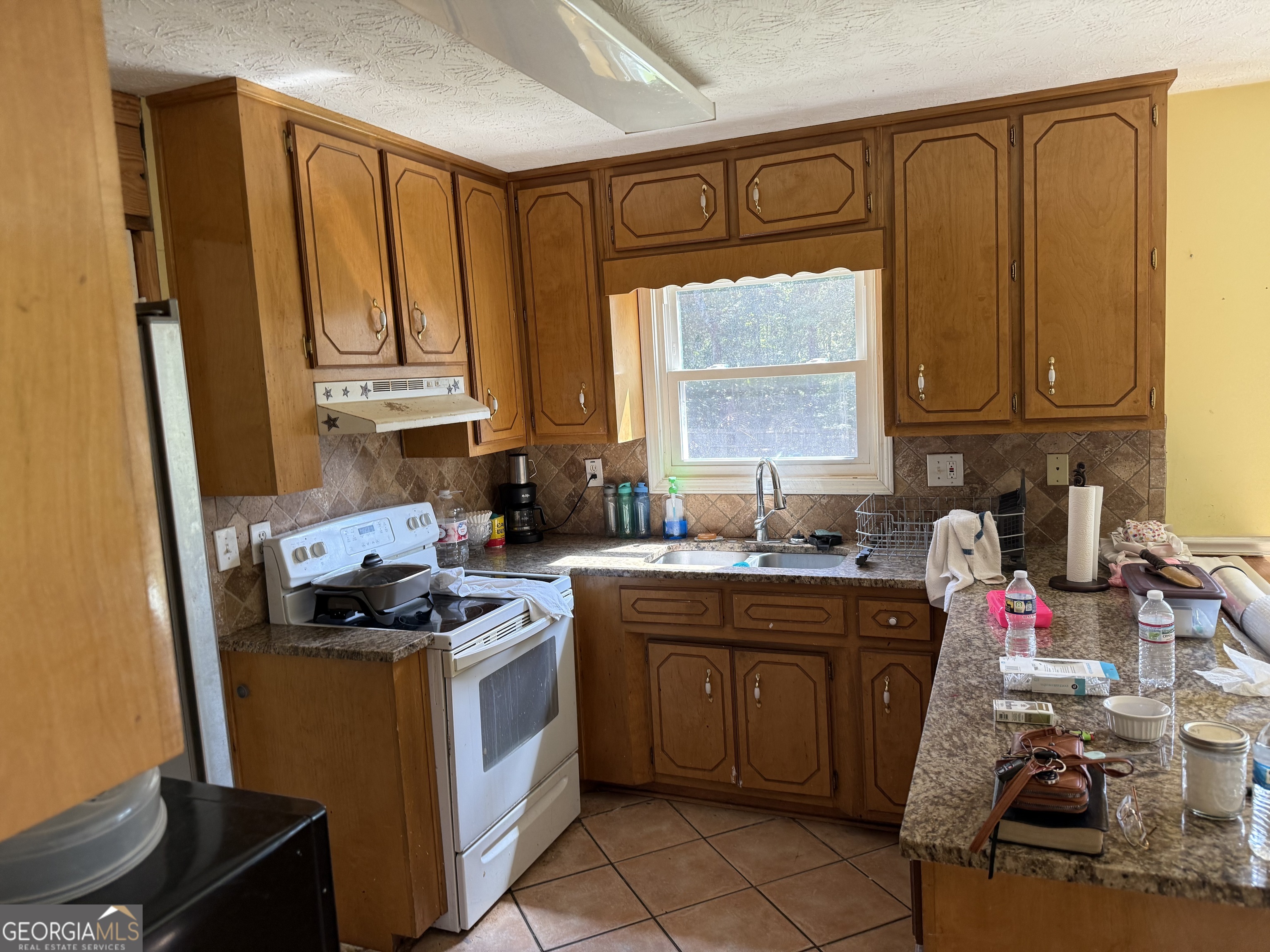 2694 Palm Creek Court Dacula GA 30019