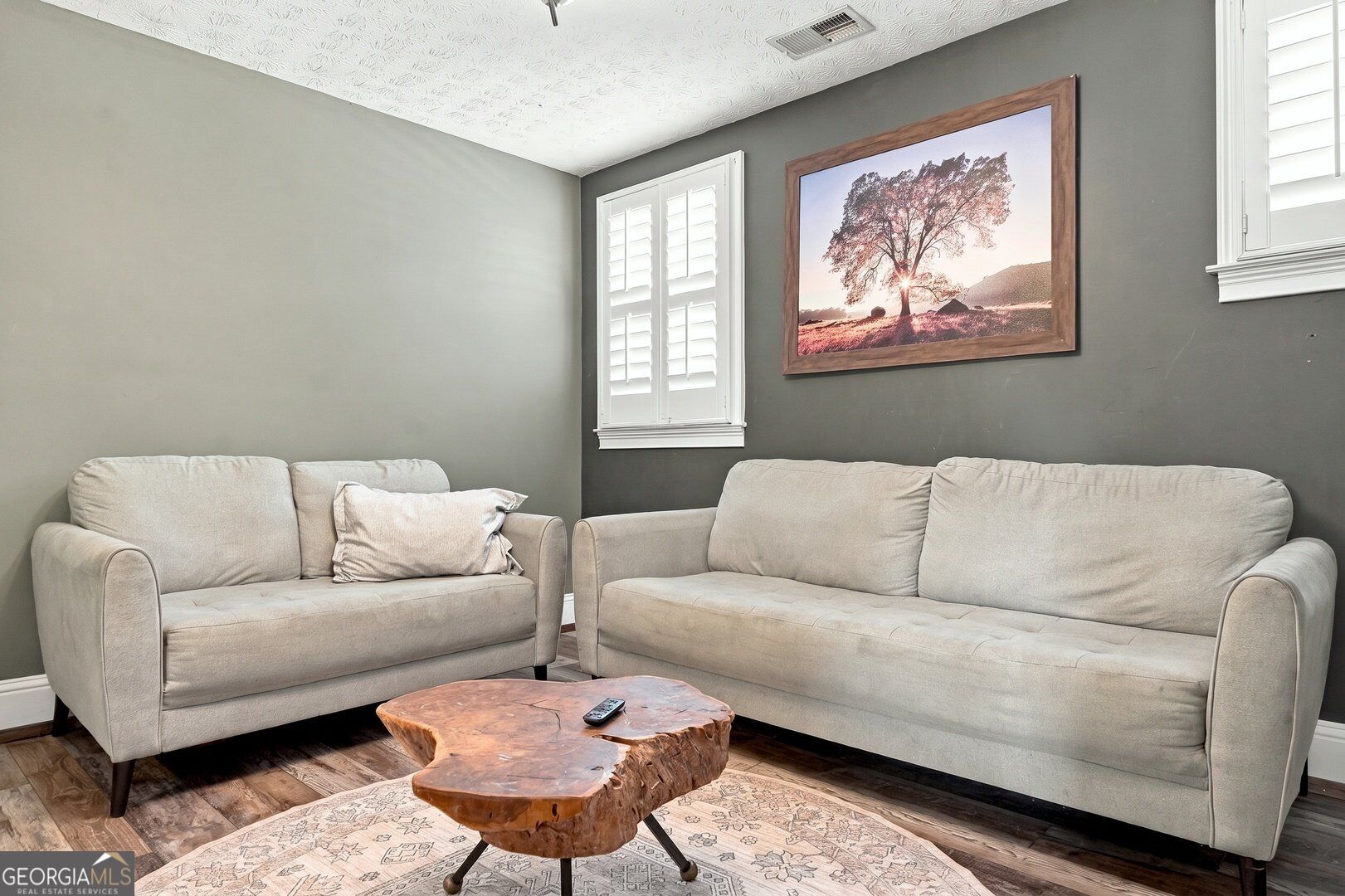 187 Overlook Trail Williamson GA 30292