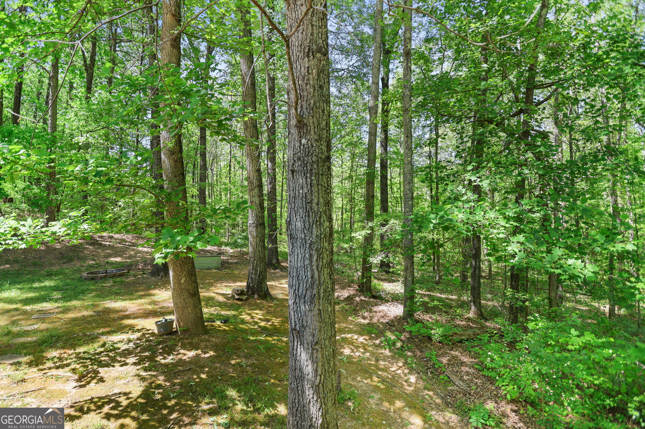 107 Trisha Lane Grantville GA 30220