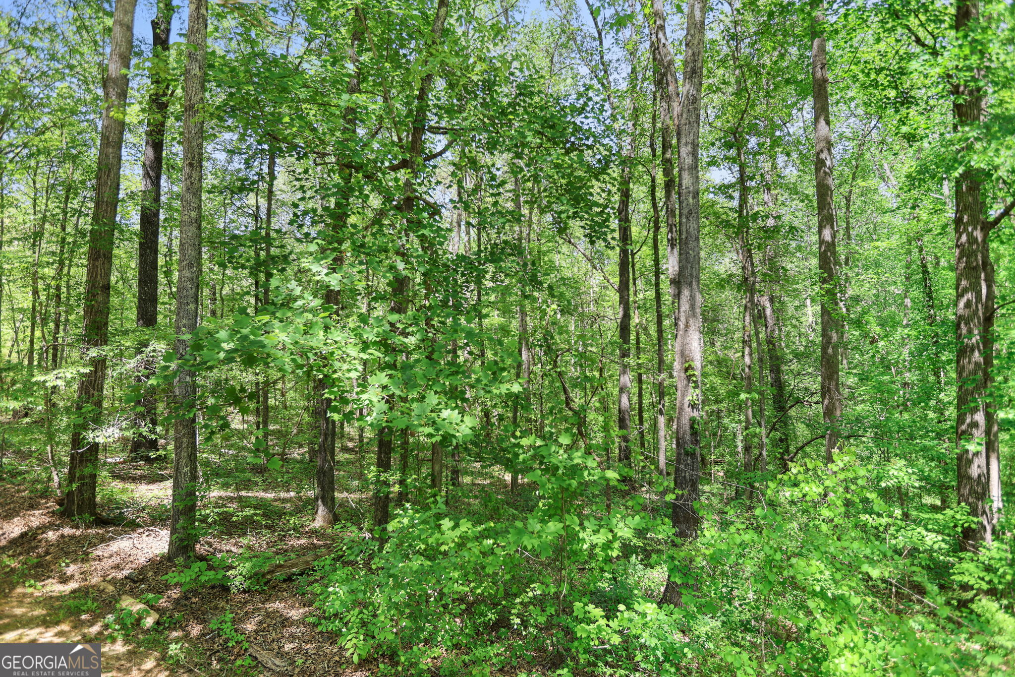 107 Trisha Lane Grantville GA 30220