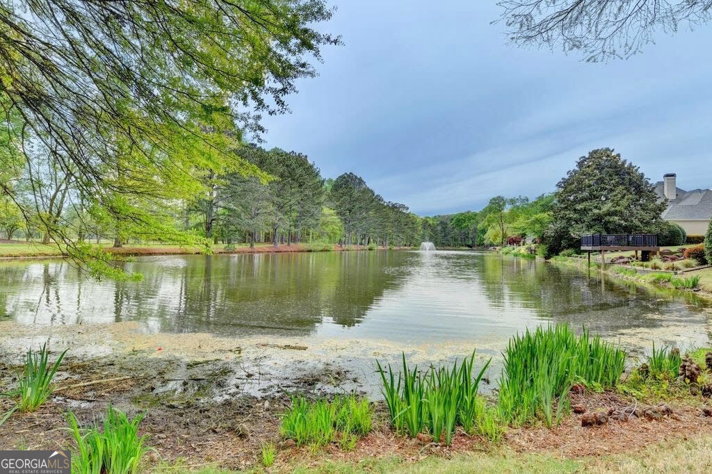 9260 Saint Georgen Common Johns Creek GA 30097