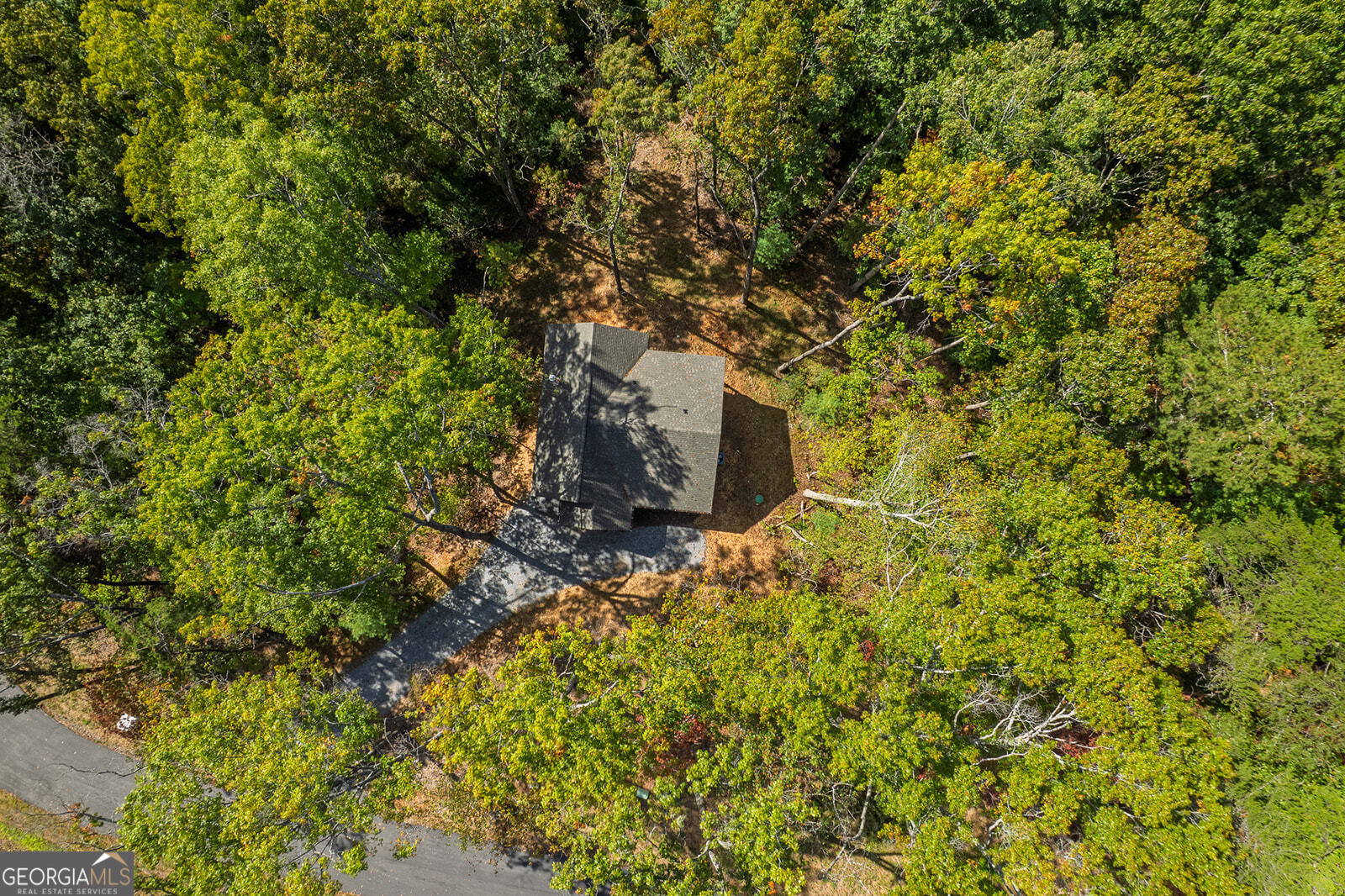 100 Crystal Oliver Lane Blue Ridge GA 30513