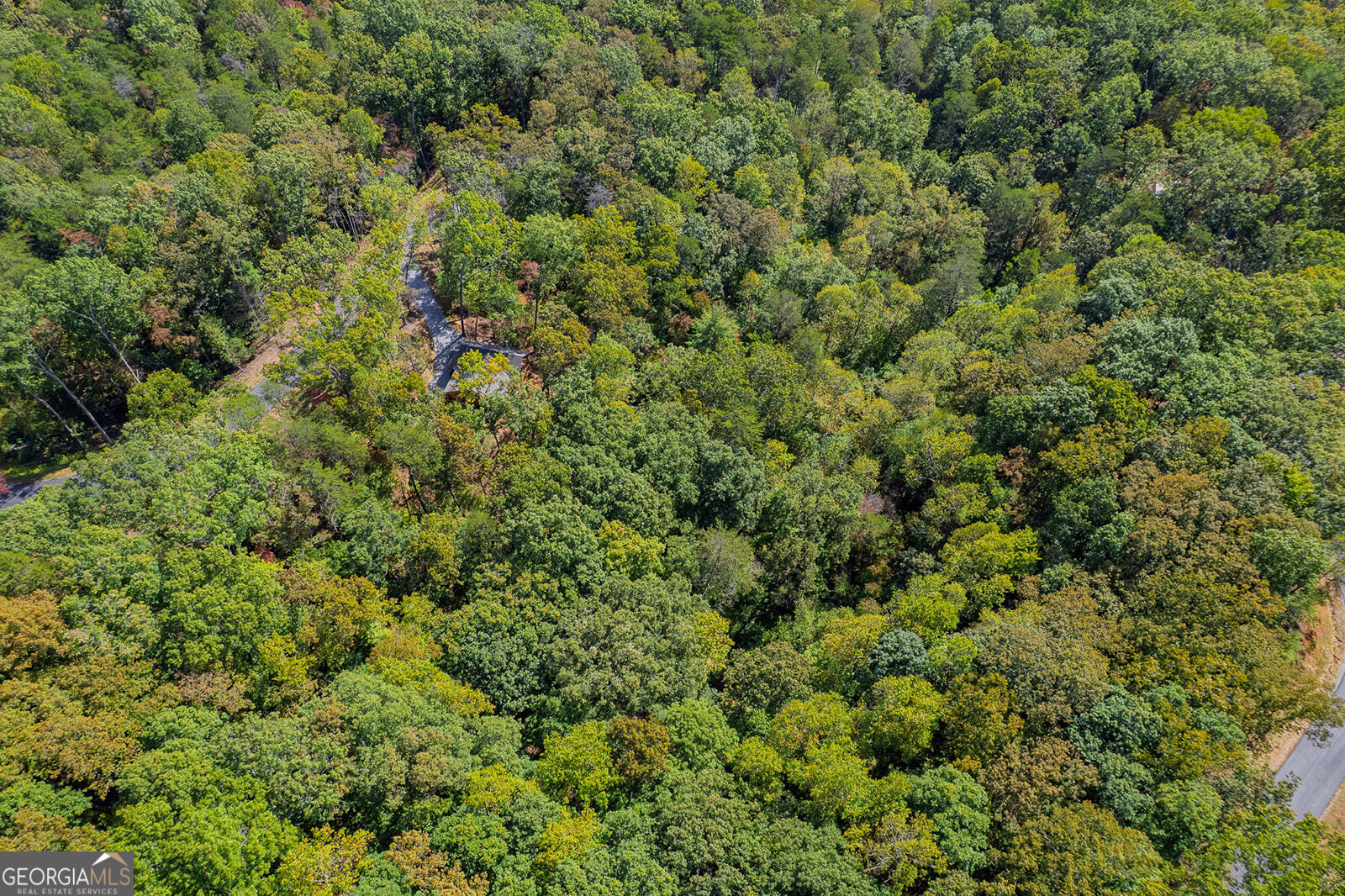 100 Crystal Oliver Lane Blue Ridge GA 30513