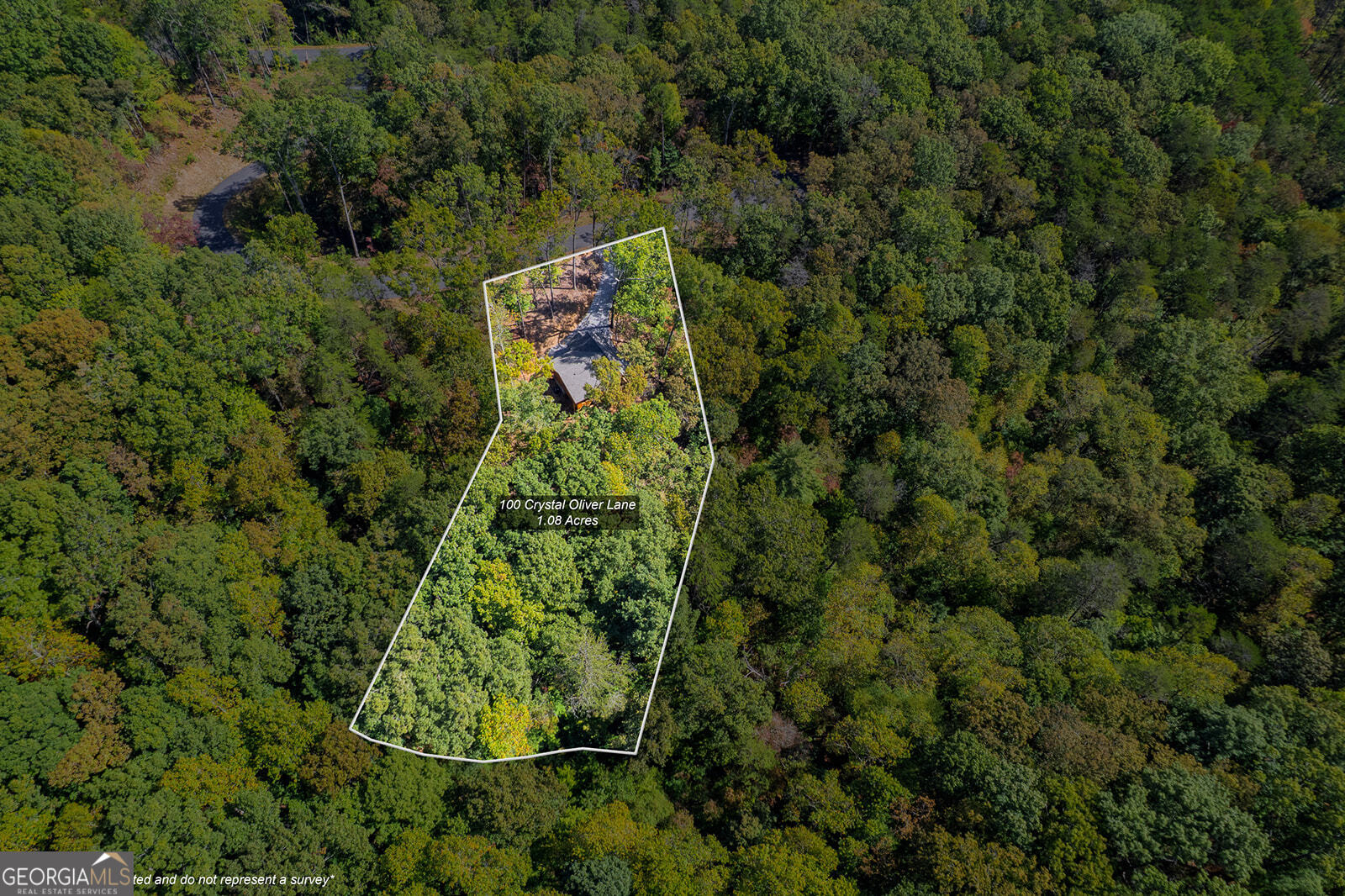 100 Crystal Oliver Lane Blue Ridge GA 30513
