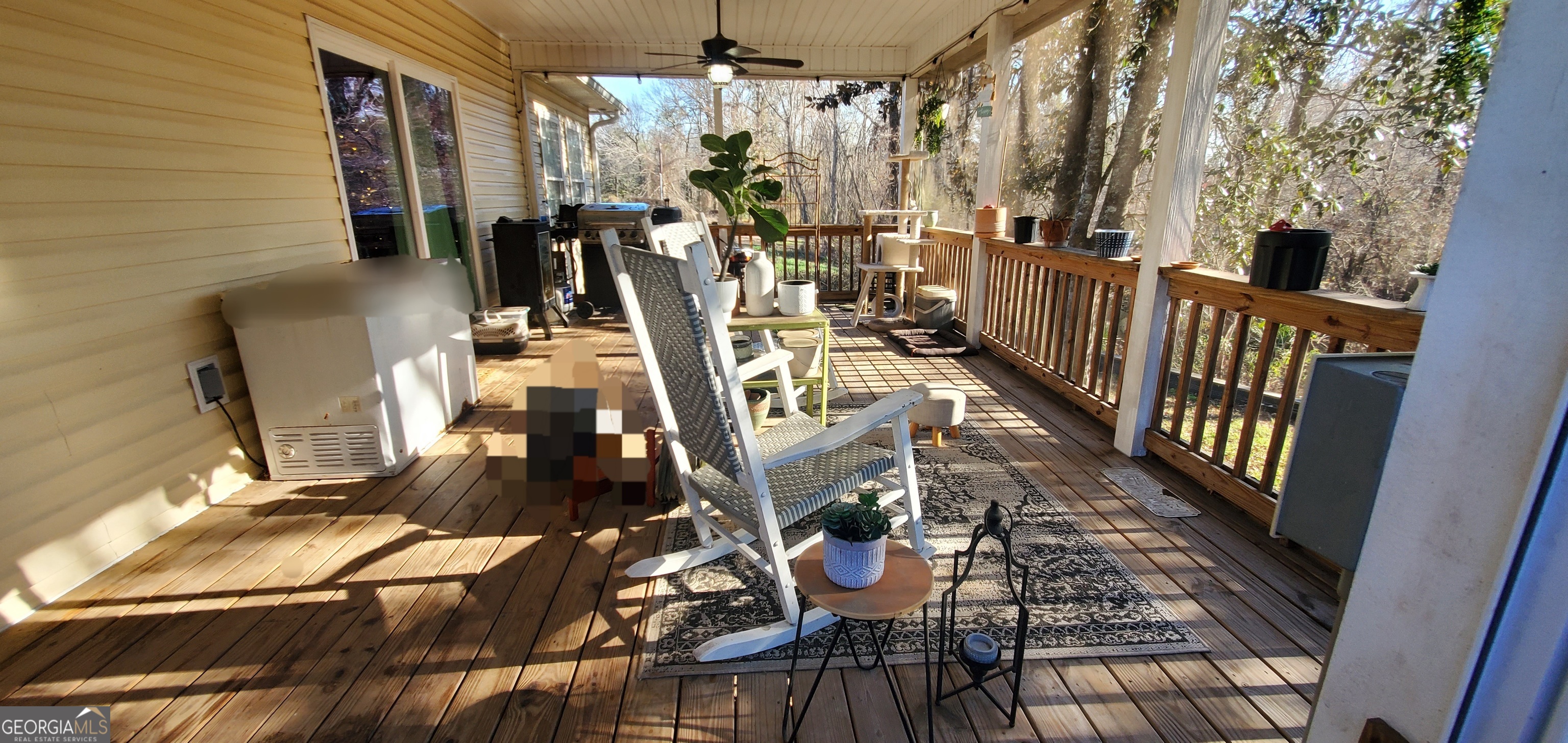 147 Brannen Landing Road Midville GA 30441