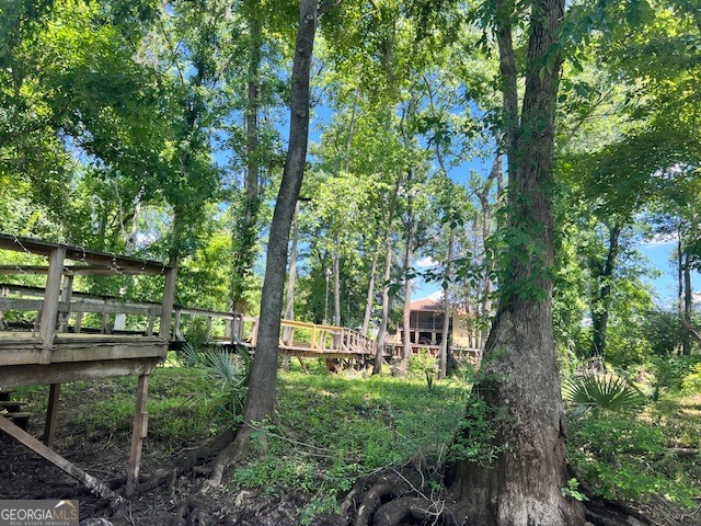 147 Brannen Landing Road Midville GA 30441