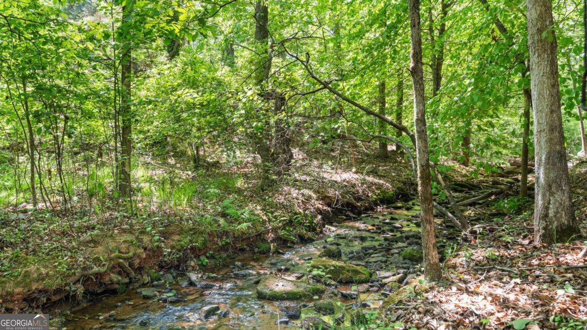 1445 Badingham Drive Cumming GA 30041
