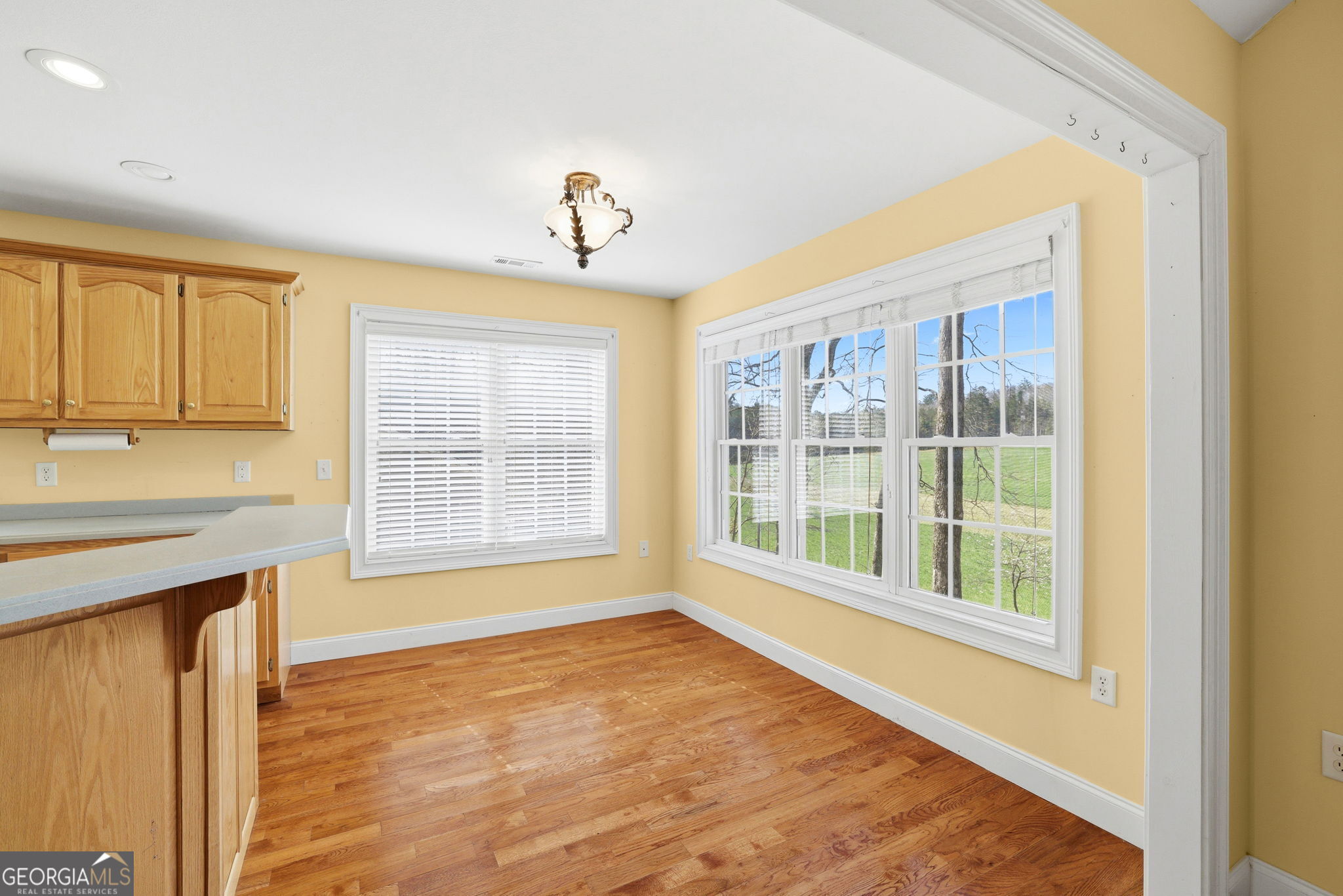 23 Clyde Ellen Drive Tiger GA 30576