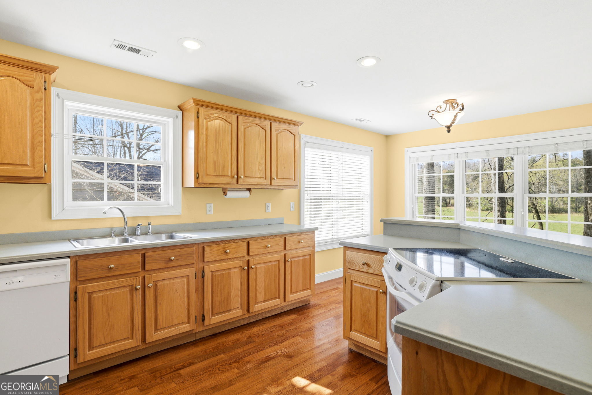 23 Clyde Ellen Drive Tiger GA 30576