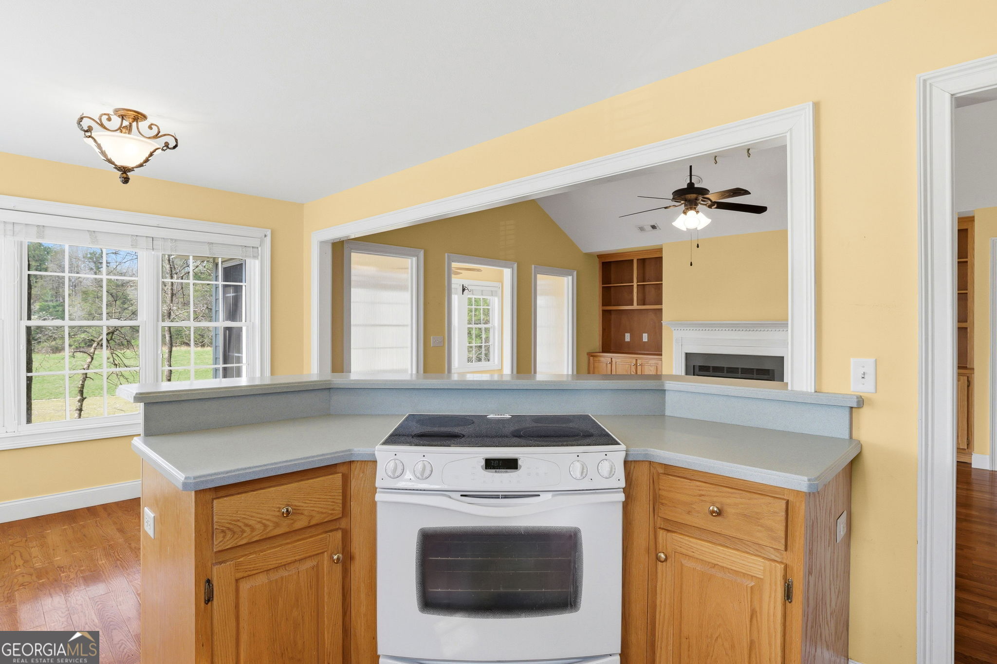 23 Clyde Ellen Drive Tiger GA 30576